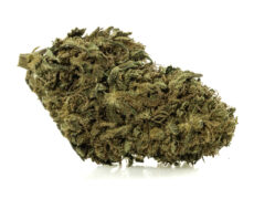 Gros plan sur le sommet d