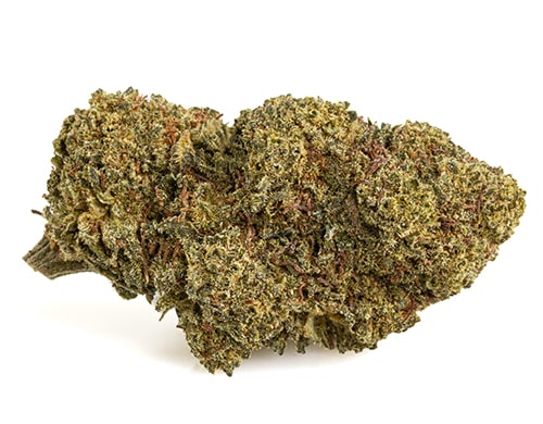 mango-cbd-boost-small-fleurs-cbd