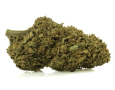 Gros plan sur le sommet d