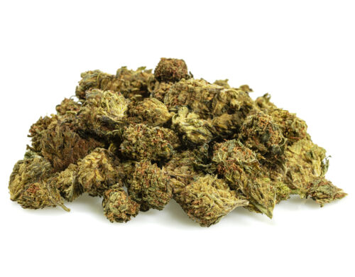 GG4 cbd boost fleurs cbd small buds