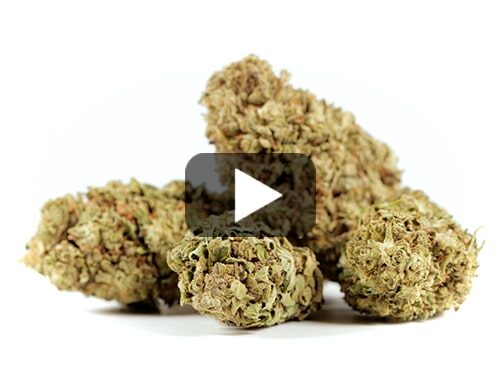 apercu-video-zkittles-cbg