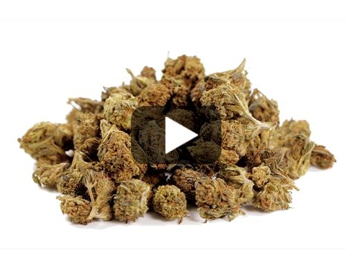 petit-fleurs-cbd-de-GG4-cbd-boost