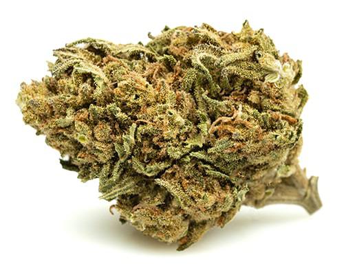 white-widow-small-fleurs-cbd