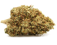 Fleur de cannabis cbd de la do si dos