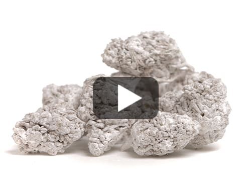 Gros plan détaillé de Fleurs de CBD avec haute teneur en pour usage légal