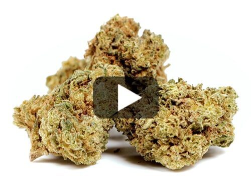 cbd-france-gelato-cbd-boost