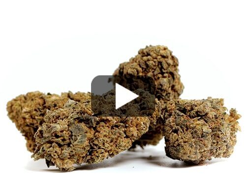 cbd-france-orange-cbd-boost