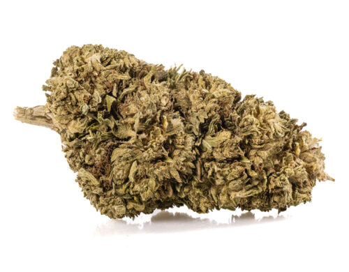 Gros plan sur le sommet d'une fleur légale de Fleurs CBD Outdoor Mix avec des trichomes mis en évidence et une texture naturelle